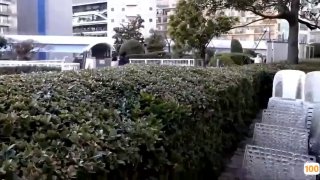 久久99精品一区二区三区,成人视频高清免费观看